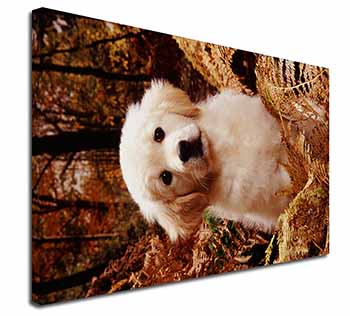 Golden Retriever Puppy Canvas X-Large 30"x20" Wall Art Print