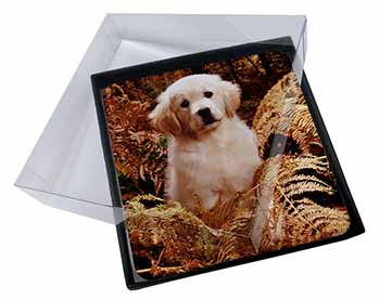 4x Golden Retriever Puppy Picture Table Coasters Set in Gift Box