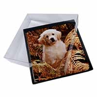 4x Golden Retriever Puppy Picture Table Coasters Set in Gift Box