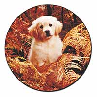 Golden Retriever Puppy Fridge Magnet Printed Full Colour