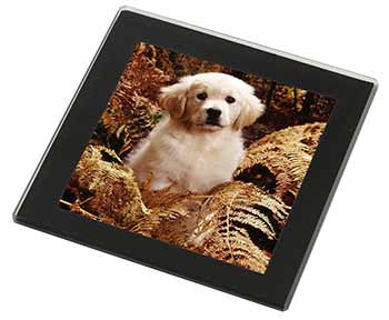 Golden Retriever Puppy Black Rim High Quality Glass Coaster