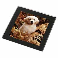 Golden Retriever Puppy Black Rim High Quality Glass Coaster