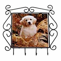 Golden Retriever Puppy Wrought Iron Key Holder Hooks