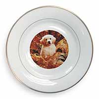 Golden Retriever Puppy Gold Rim Plate Printed Full Colour in Gift Box