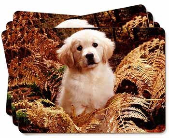 Golden Retriever Puppy Picture Placemats in Gift Box