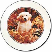 Golden Retriever Puppy Car or Van Permit Holder/Tax Disc Holder