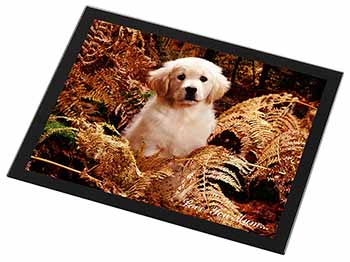 Golden Retriever Pup 