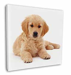 Golden Retriever Puppy Dog Square Canvas 12"x12" Wall Art Picture Print