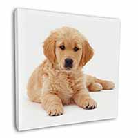 Golden Retriever Puppy Dog Square Canvas 12"x12" Wall Art Picture Print