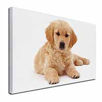 Golden Retriever Puppy Dog Canvas X-Large 30"x20" Wall Art Print
