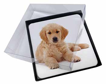 4x Golden Retriever Puppy Dog Picture Table Coasters Set in Gift Box