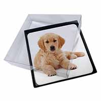 4x Golden Retriever Puppy Dog Picture Table Coasters Set in Gift Box - Advanta Group®