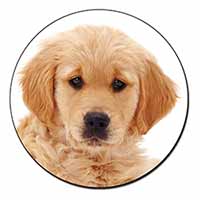 Golden Retriever Puppy Dog Fridge Magnet Printed Full Colour