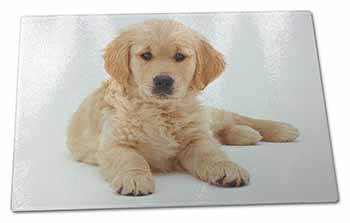 Large Glass Cutting Chopping Board Golden Retriever Puppy Dog