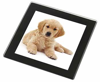 Golden Retriever Puppy Dog Black Rim High Quality Glass Coaster