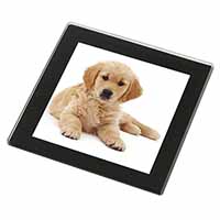 Golden Retriever Puppy Dog Black Rim High Quality Glass Coaster