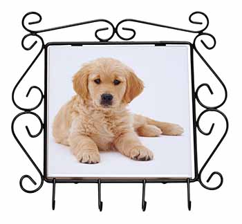 Golden Retriever Puppy Dog Wrought Iron Key Holder Hooks