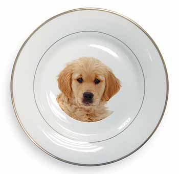 Golden Retriever Puppy Dog Gold Rim Plate Printed Full Colour in Gift Box
