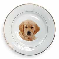 Golden Retriever Puppy Dog Gold Rim Plate Printed Full Colour in Gift Box