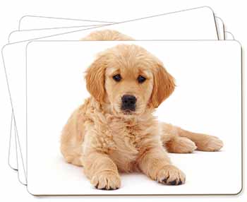 Golden Retriever Puppy Dog Picture Placemats in Gift Box