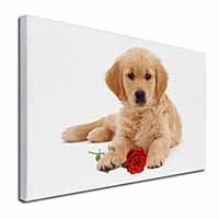 Golden Retriever Dog with Rose Canvas X-Large 30"x20" Wall Art Print