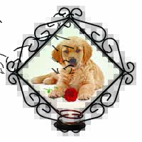 Golden Retriever Dog with Rose Wrought Iron Wall Art Candle Holder