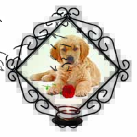 Golden Retriever Dog with Rose Wrought Iron Wall Art Candle Holder