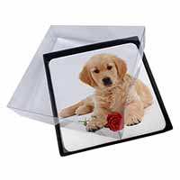 4x Golden Retriever Dog with Rose Picture Table Coasters Set in Gift Box