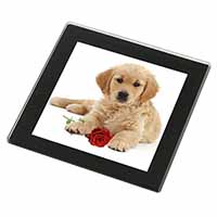 Golden Retriever Dog with Rose Black Rim High Quality Glass Coaster