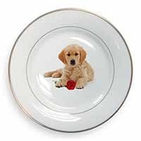 Golden Retriever Dog with Rose Gold Rim Plate Printed Full Colour in Gift Box