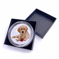 Golden Retriever Dog with Rose Glass Paperweight in Gift Box