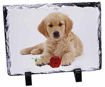 Golden Retriever Dog with Rose, Stunning Photo Slate