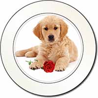 Golden Retriever Dog with Rose Car or Van Permit Holder/Tax Disc Holder
