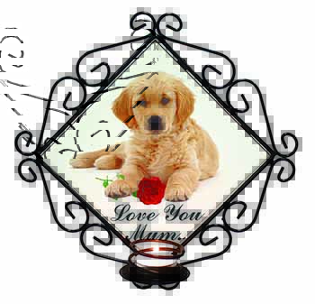 Goldie with Red Rose 