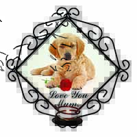 Goldie with Red Rose 