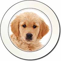 Golden Retriever Puppy Dog Car or Van Permit Holder/Tax Disc Holder