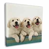 Golden Retriever Puppies Square Canvas 12"x12" Wall Art Picture Print