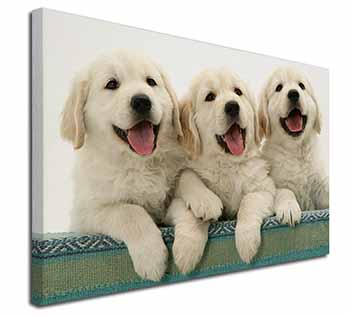 Golden Retriever Puppies Canvas X-Large 30"x20" Wall Art Print