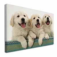 Golden Retriever Puppies Canvas X-Large 30"x20" Wall Art Print