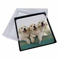 4x Golden Retriever Puppies Picture Table Coasters Set in Gift Box