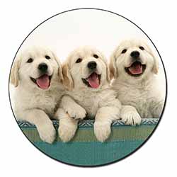 Golden Retriever Puppies Fridge Magnet Printed Full Colour