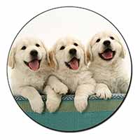 Golden Retriever Puppies Fridge Magnet Printed Full Colour