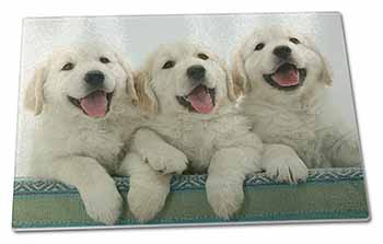 Large Glass Cutting Chopping Board Golden Retriever Puppies