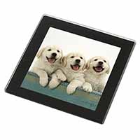 Golden Retriever Puppies Black Rim High Quality Glass Coaster