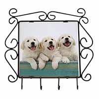 Golden Retriever Puppies Wrought Iron Key Holder Hooks