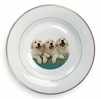 Golden Retriever Puppies Gold Rim Plate Printed Full Colour in Gift Box