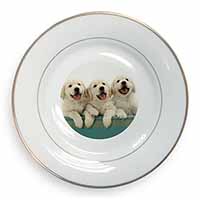 Golden Retriever Puppies Gold Rim Plate Printed Full Colour in Gift Box