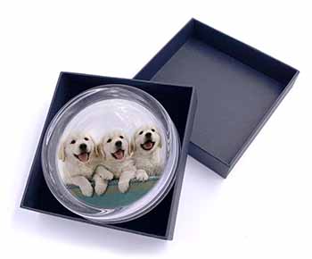 Golden Retriever Puppies Glass Paperweight in Gift Box