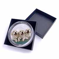 Golden Retriever Puppies Glass Paperweight in Gift Box