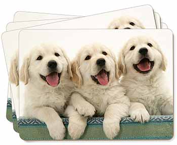 Golden Retriever Puppies Picture Placemats in Gift Box